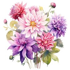 Схема вышивки «Георгины»