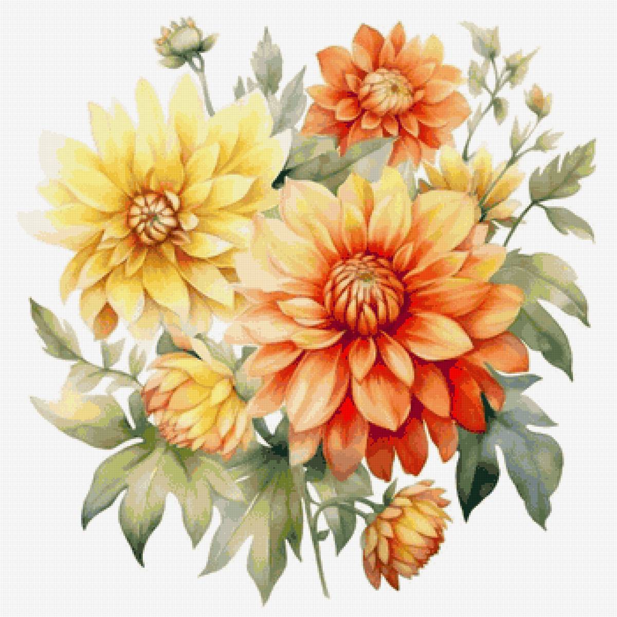 Георгины - предпросмотр