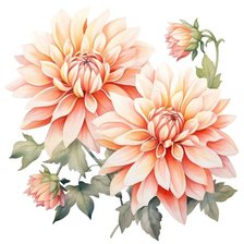 Схема вышивки «Георгины»