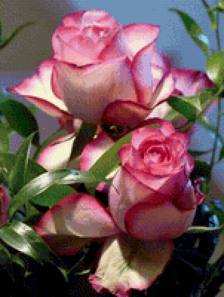 Розы - цветы - предпросмотр