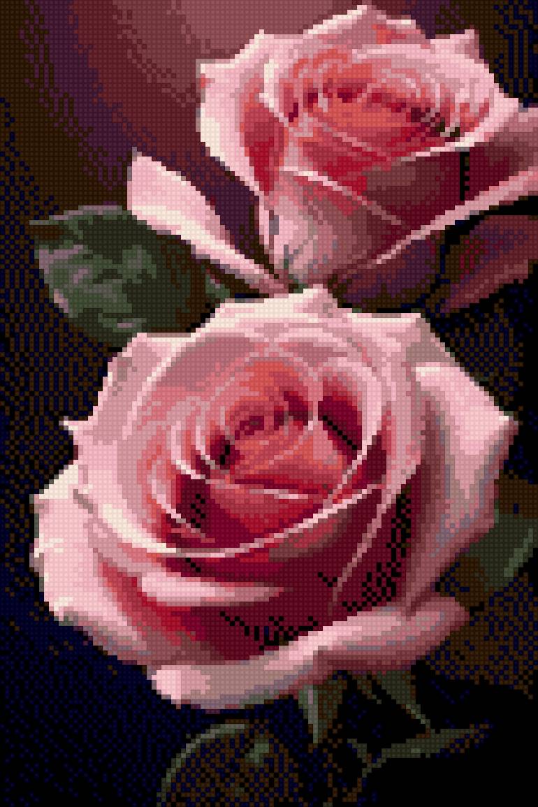 Rosas rosas - lindas - предпросмотр