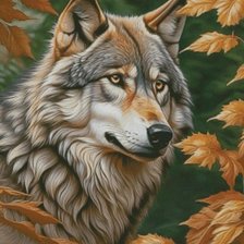 Схема вышивки «Волк»