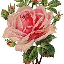 Схема вышивки «Ramito»