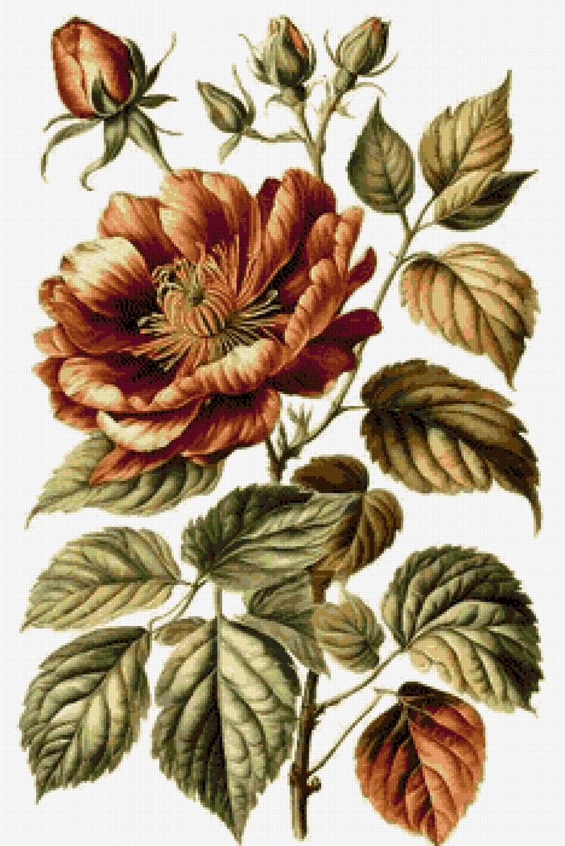 №2808595 - предпросмотр