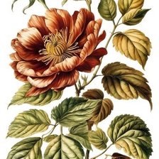 Схема вышивки «№2808595»