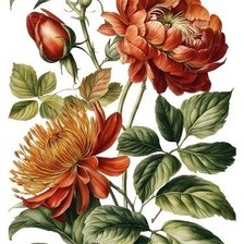 Схема вышивки «№2808596»