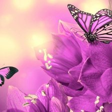 Схема вышивки «№2808817»