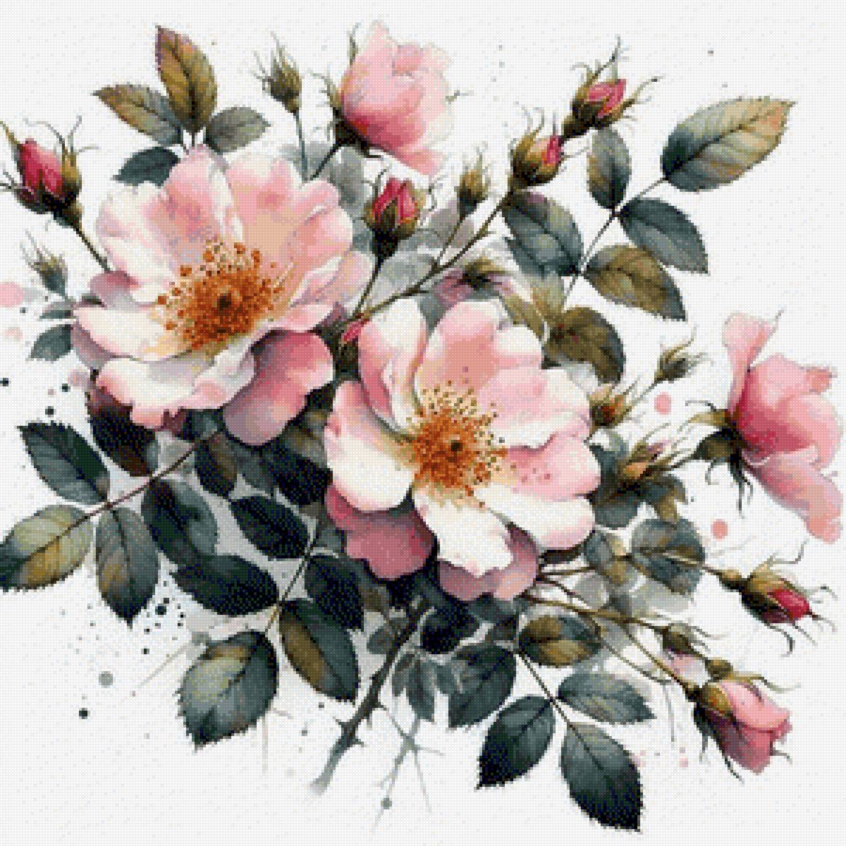 Розовый шиповник - шиповник, цветы - предпросмотр