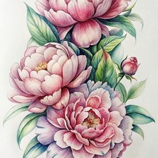 Схема вышивки «Пионы»