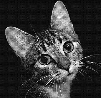Кот - монохром, кот - оригинал
