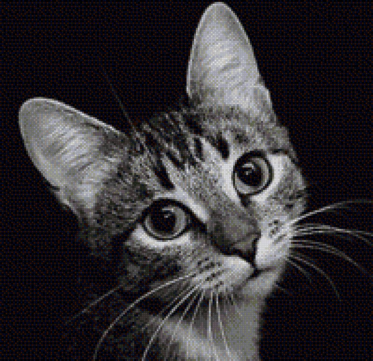 Кот - кот, монохром - предпросмотр