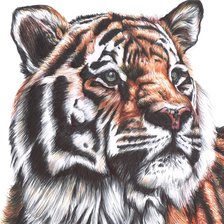 Схема вышивки «№2809910»