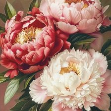 Схема вышивки «Bujori»