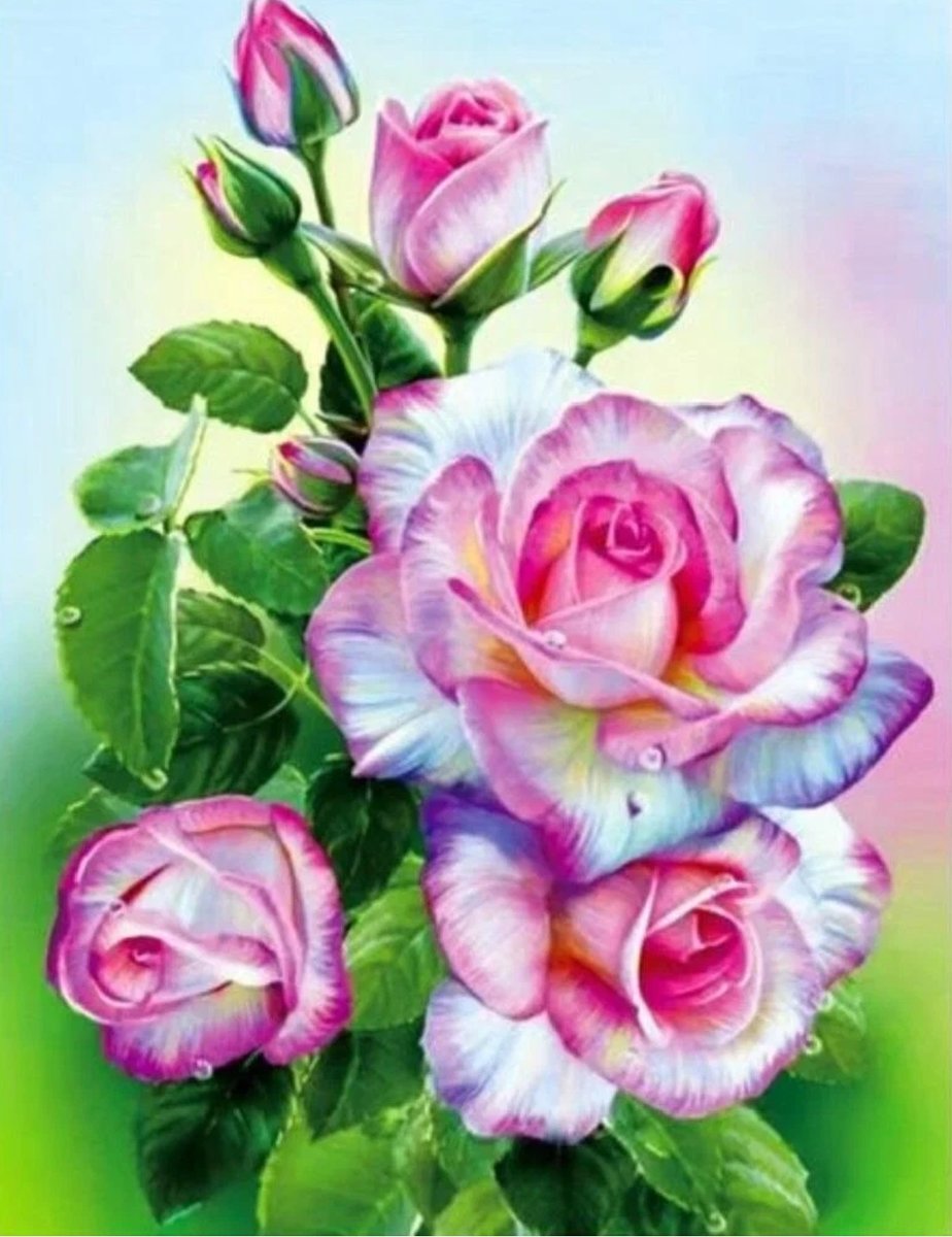 Букет роз - букет, цветы, розы - оригинал