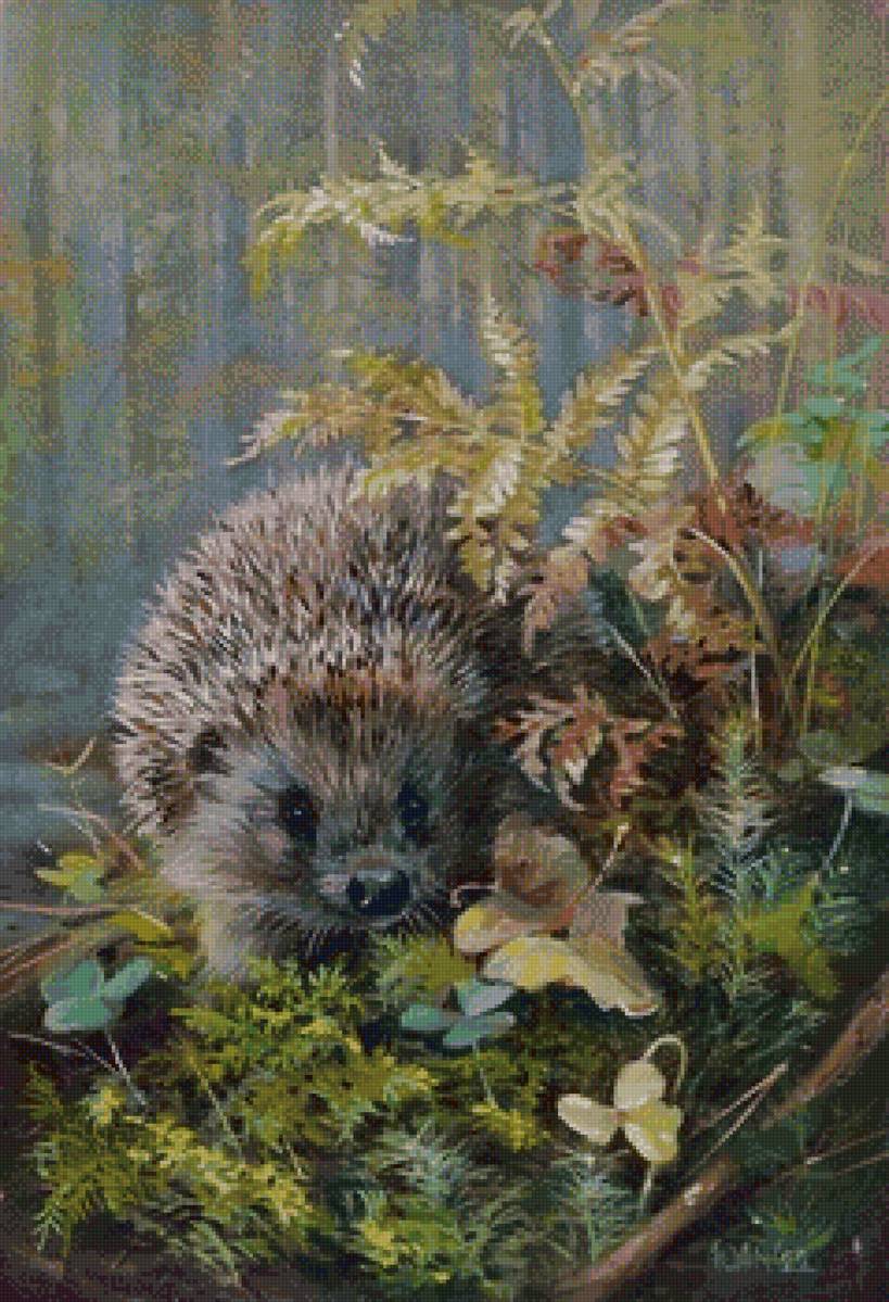 еж - предпросмотр