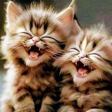 Схема вышивки «Нам смешно!»