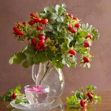 Схема вышивки «№2811002»