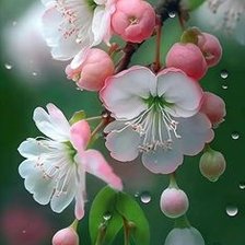 Схема вышивки «Весна»