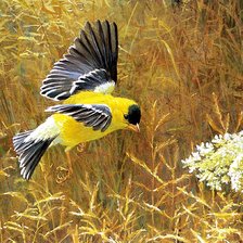 Схема вышивки «№2811952»