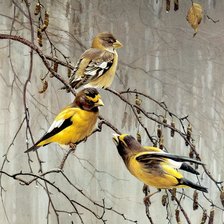 Схема вышивки «№2812012»