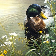 Схема вышивки «№2812023»