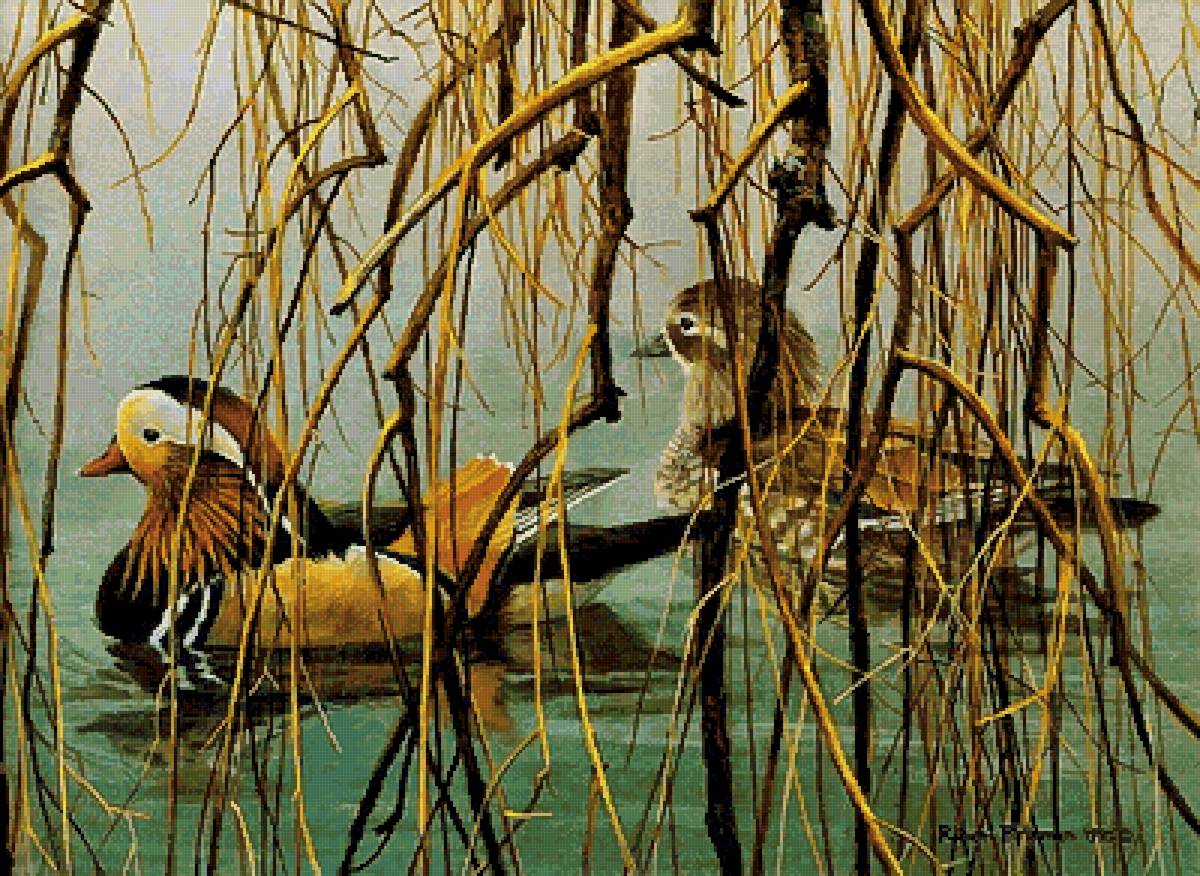 Мандаринки - птицы, роберт бейтман - предпросмотр