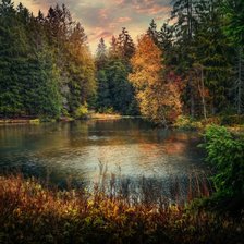 Схема вышивки «Лесное озеро»