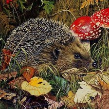 Схема вышивки «еж»