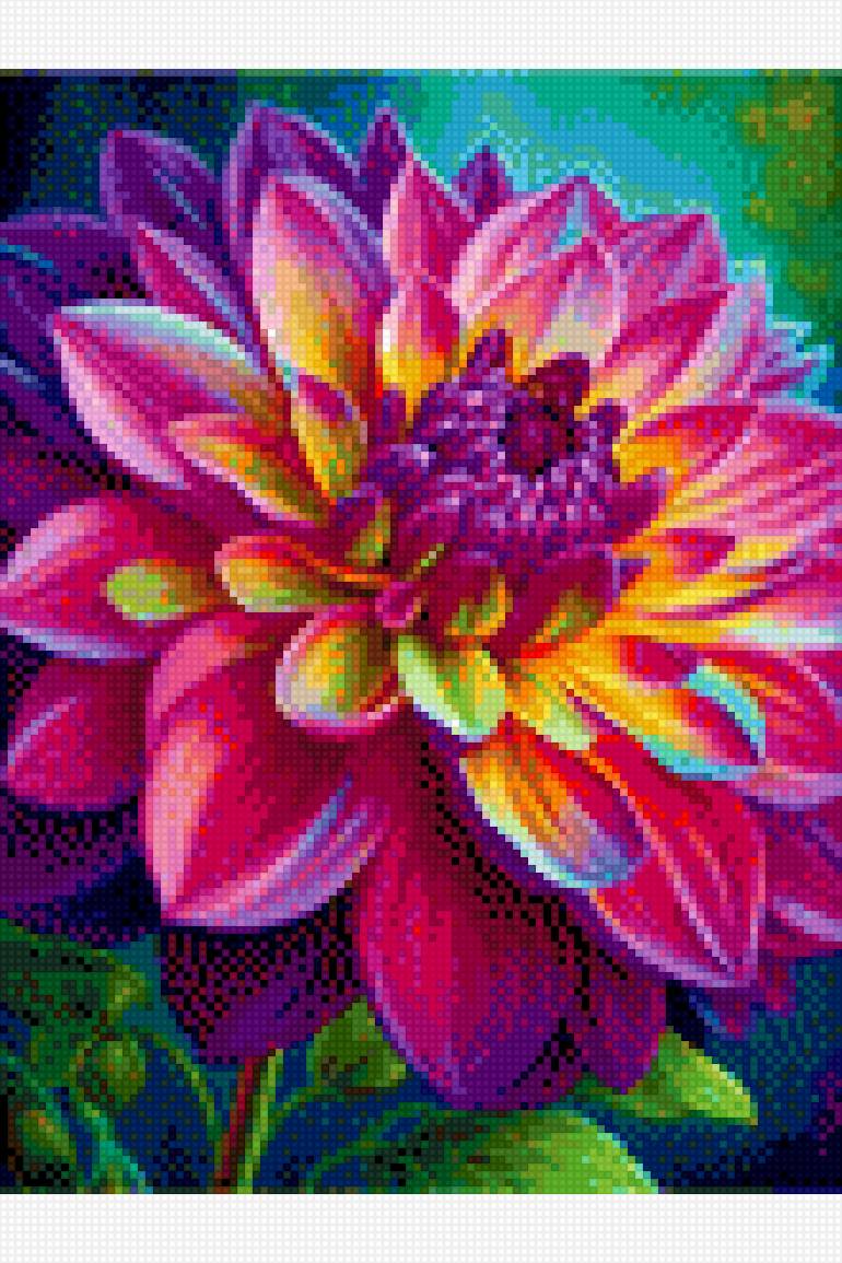 Георгин - предпросмотр