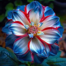 Схема вышивки «Георгин»