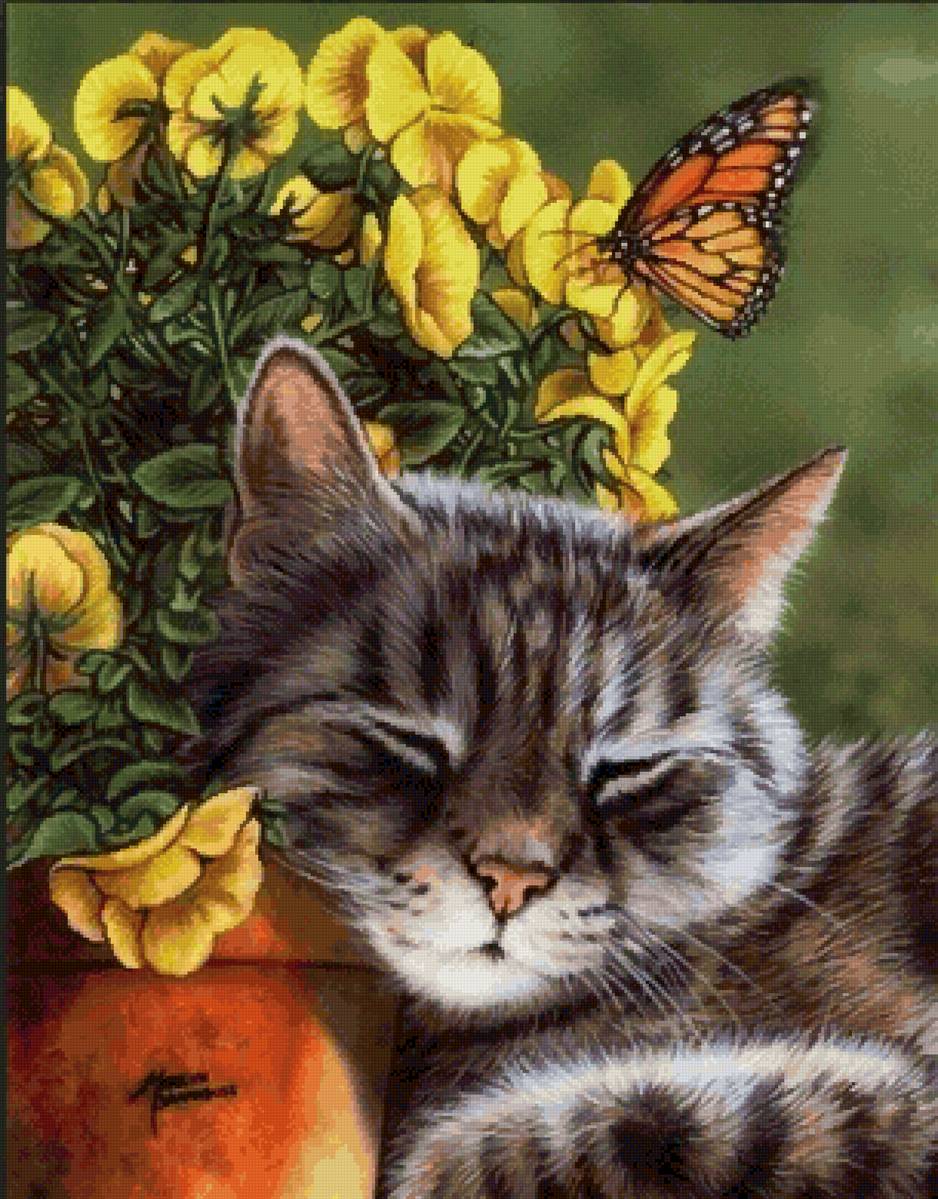 Котик - цветы, бабочка, кот, сон - предпросмотр