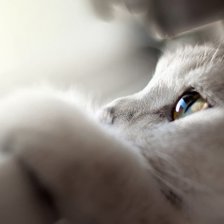 Схема вышивки «№2813980»