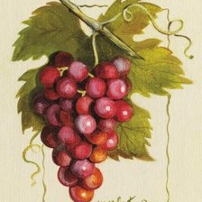 Схема вышивки «№2814148»