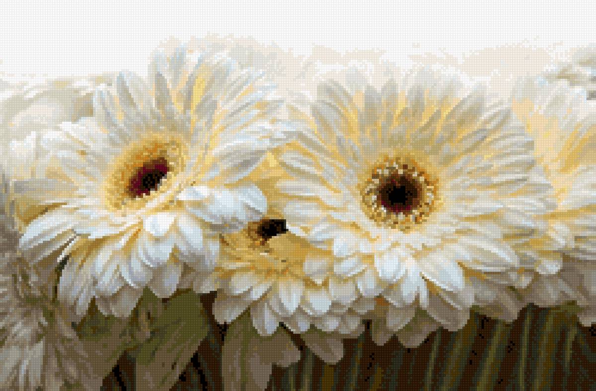 Герберы - белый букет, герберы, цветы - предпросмотр