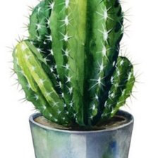 Схема вышивки «Кактус»