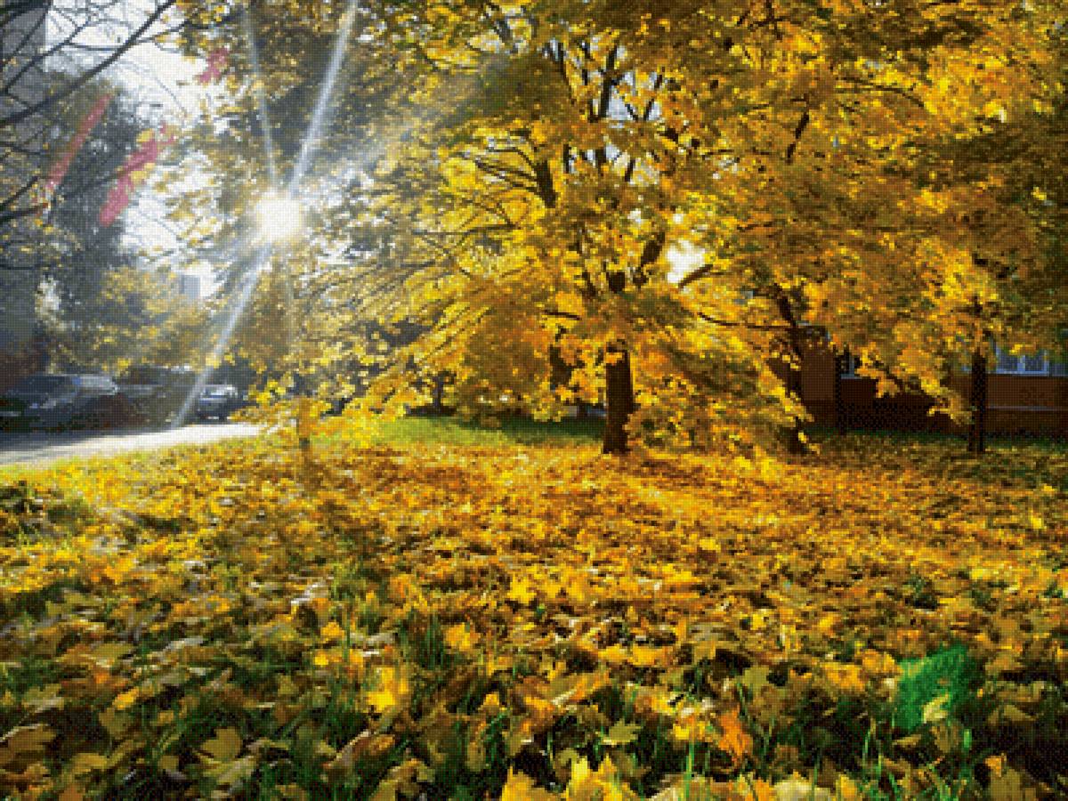 Осень в Перово - дерево, осень, желтый, листья, москва - предпросмотр
