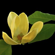 Схема вышивки «№2815277»