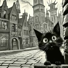 Жил да был чёрный кот  за углом...