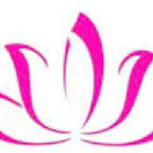 Схема вышивки «hoa sen»