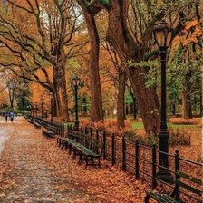 Схема вышивки «В старом парке»