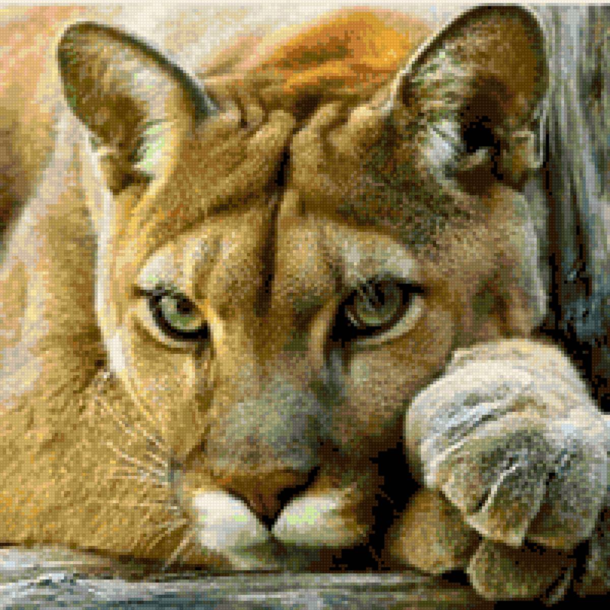 Tierno puma 2 - предпросмотр