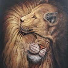 Схема вышивки «Amor felino»