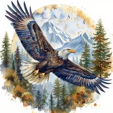 Схема вышивки «Белоголовый орлан»