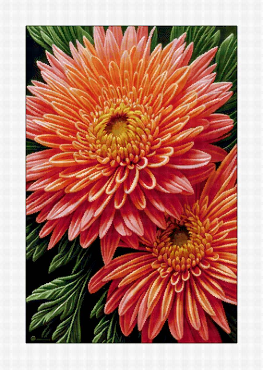 №2817078 - предпросмотр