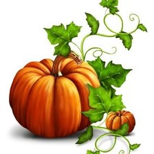 Схема вышивки «тыква»