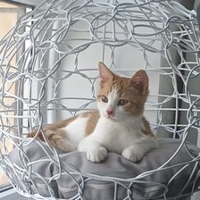 Схема вышивки «Лучик»