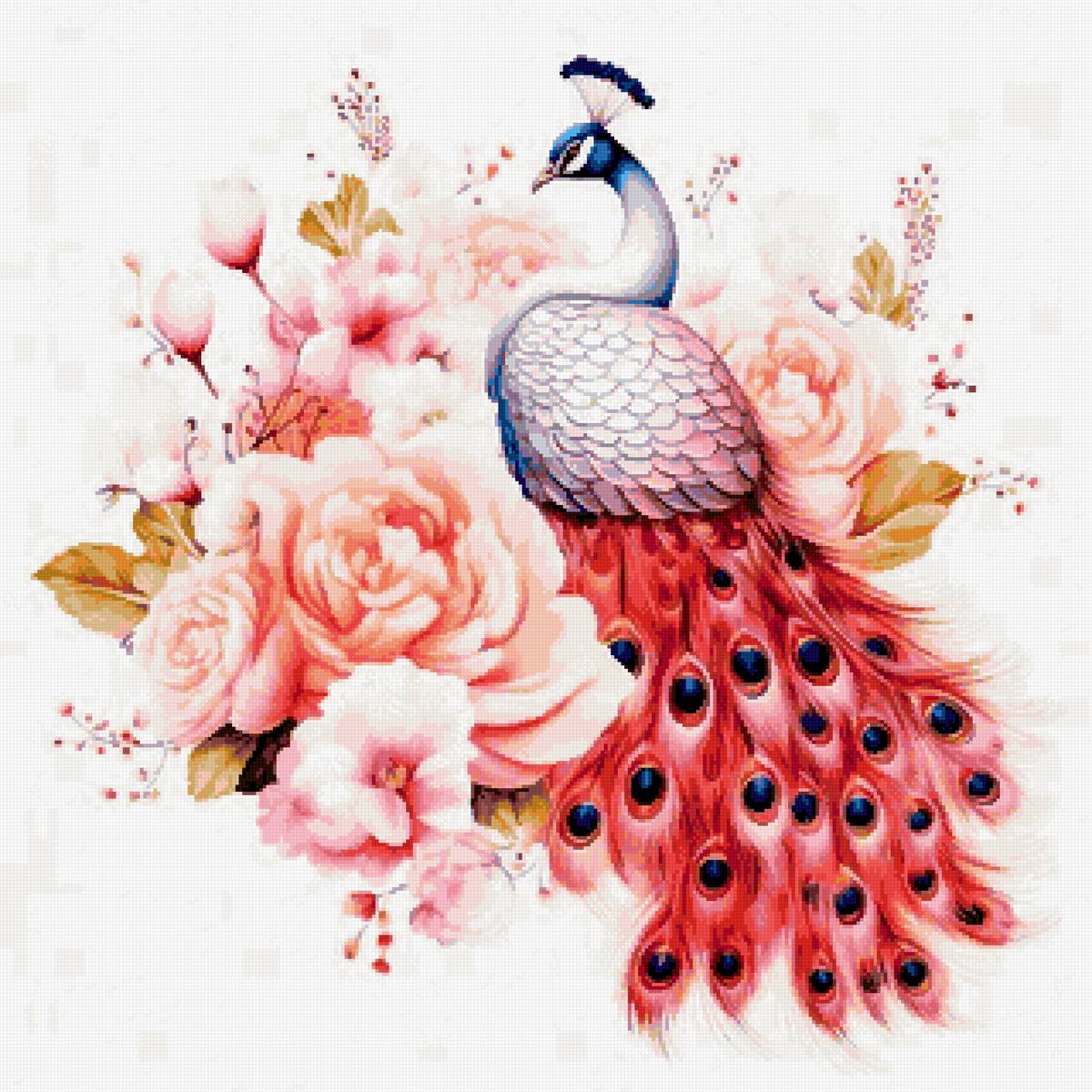 №2817641 - павлин - предпросмотр