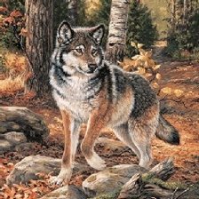 Схема вышивки «Волк»