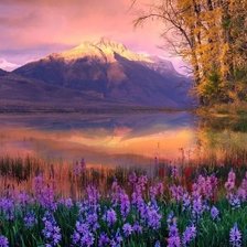 Схема вышивки «№2818839»