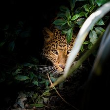 Схема вышивки «№2819210»